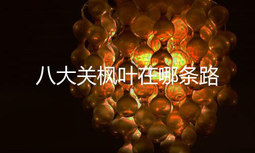 哪条关枫叶在八大路